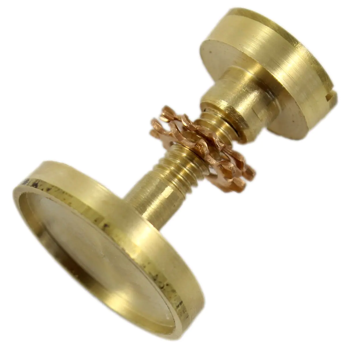 Screw set with countersunk medallion head screw and brass slotted nut