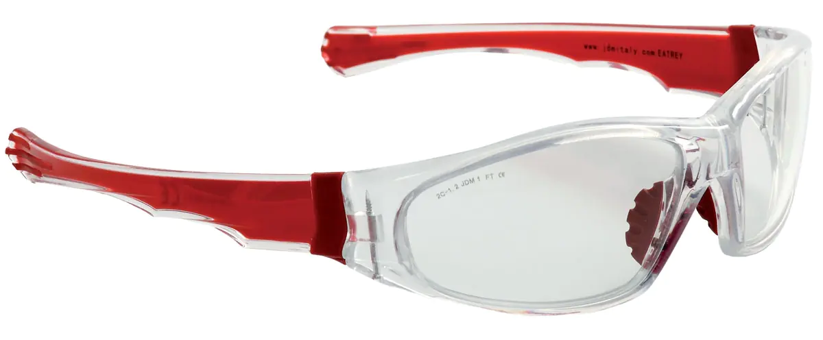Safety Glasses EAGLE CLEAR EATREY