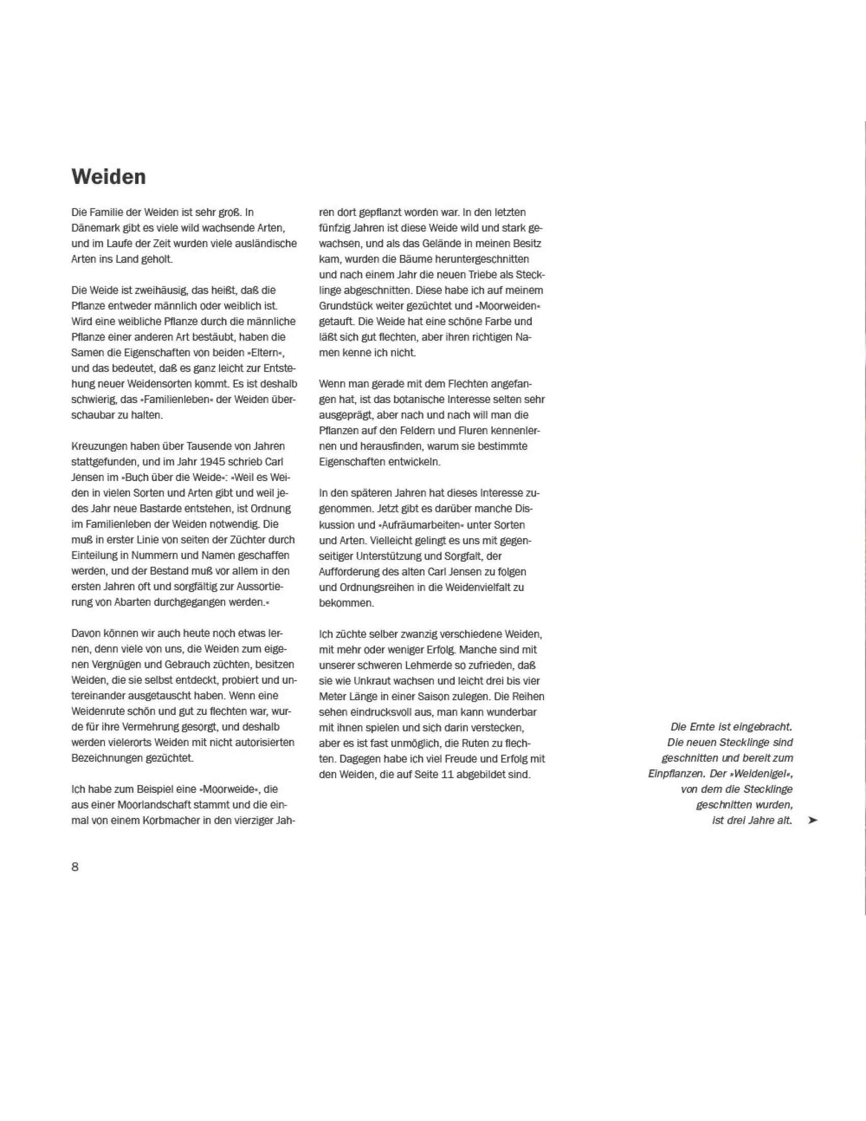 Weidengeflechte für Haus und Garten/Marianne Mortensen Weidengeflechte für Haus und Garten/Marianne Mortensen