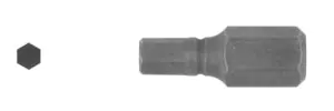 ANEX bit for hex socket screws