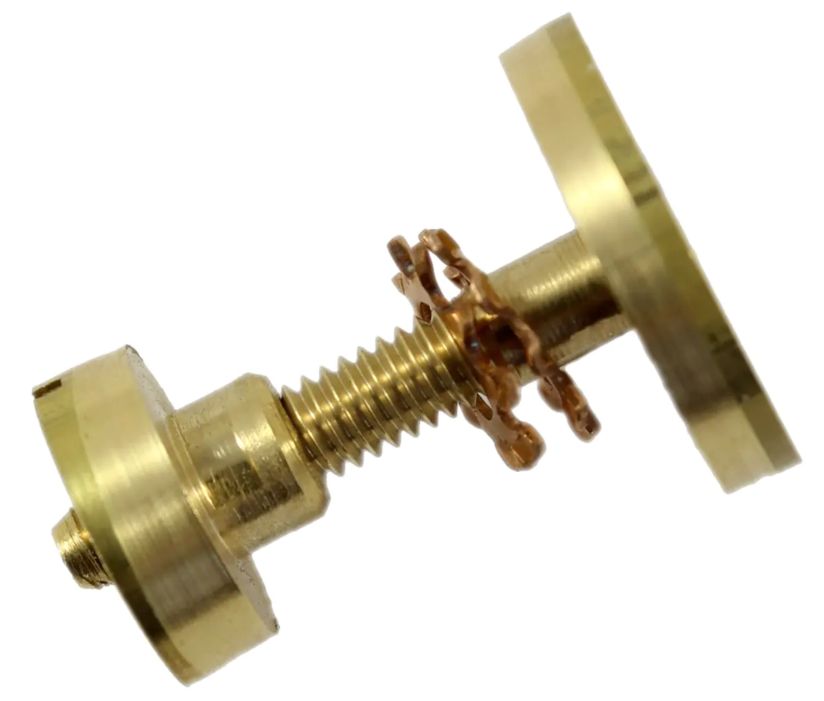Screw set with flush medallion head screw and brass slotted nut