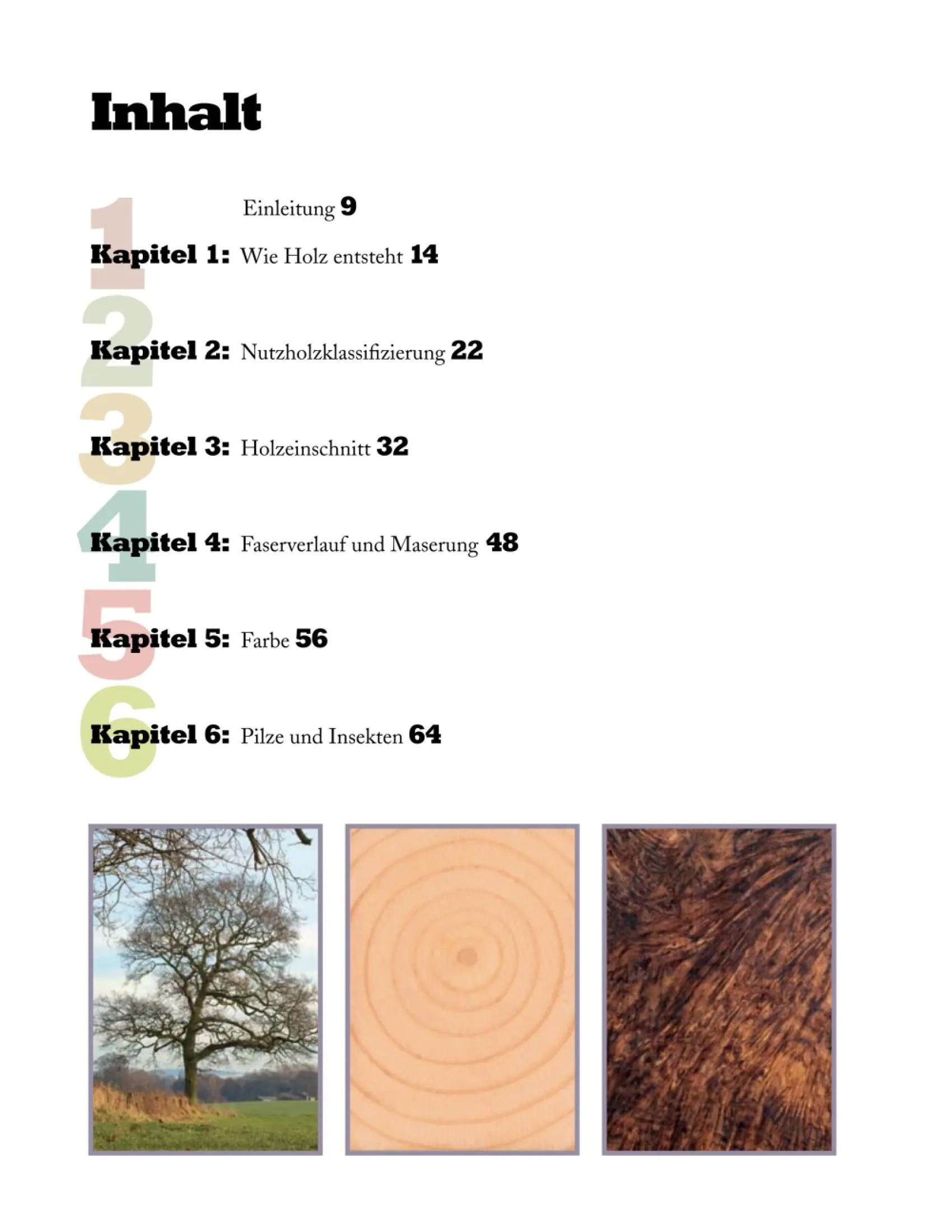 Holz trocknen und lagern / Alan Holtham