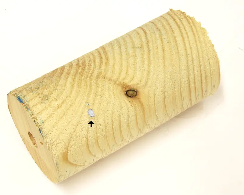 Poly-Clic Wooding Carbide Core Bit Cutter 22mm MIYANAGA Poly-Clic Wooding Carbide Core Bit Cutter 22mm MIYANAGA