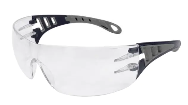 Safety goggles EVO transparent black/grey