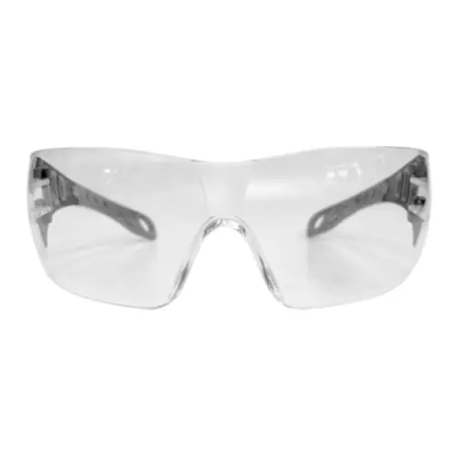 Safety goggles EVO transparent black/grey