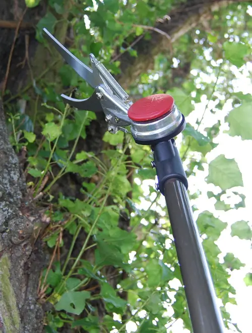 Japanese Long Reach Hedge Shears Adjustable Cutting Angle Handle 1800 mm Blade 150 mm PRUMAN Japanese Long Reach Hedge Shears Adjustable Cutting Angle Handle 1800 mm Blade 150 mm PRUMAN