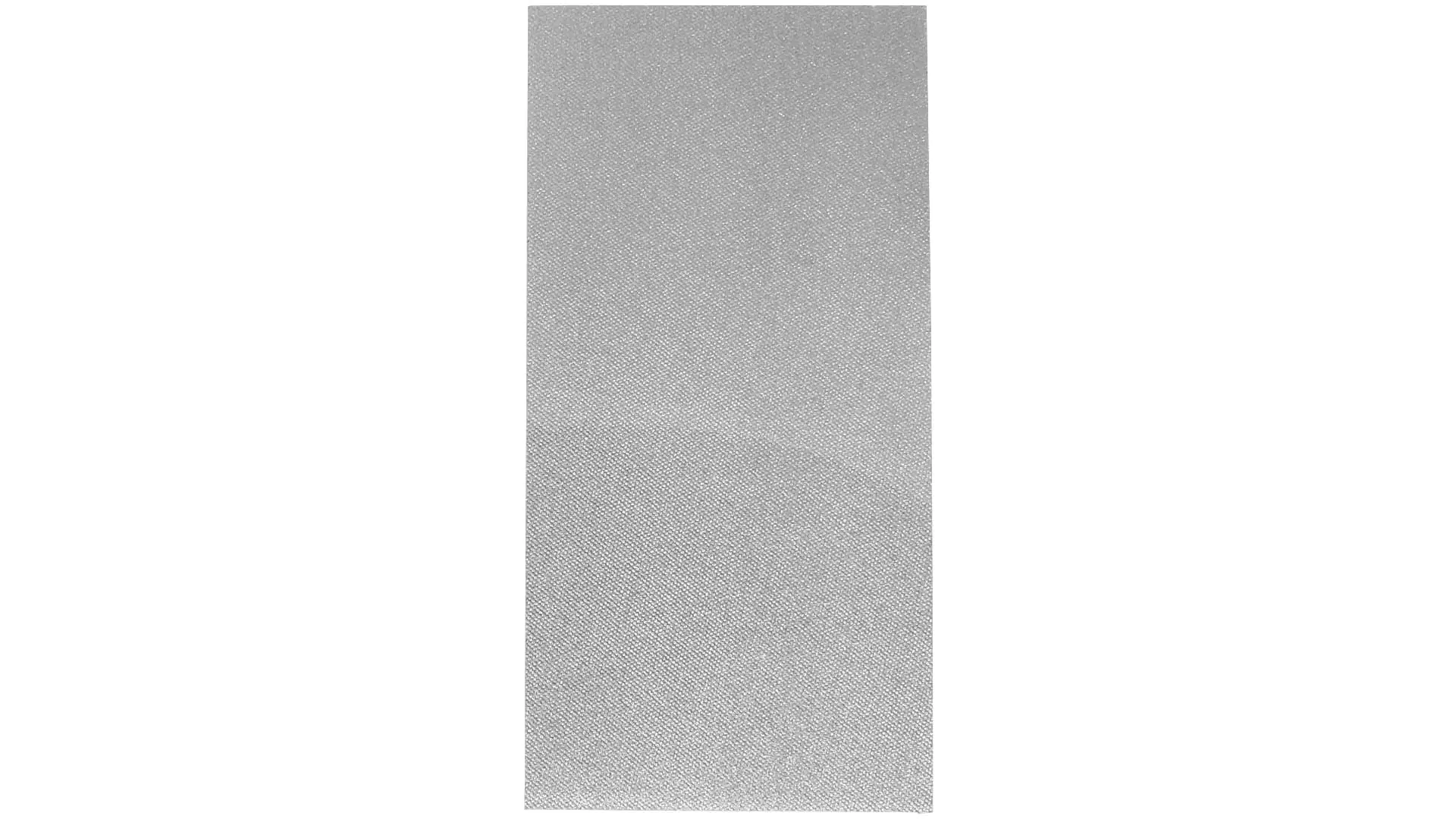 Diamond Grinding Plates Atoma Sheet 100 x 200 mm
