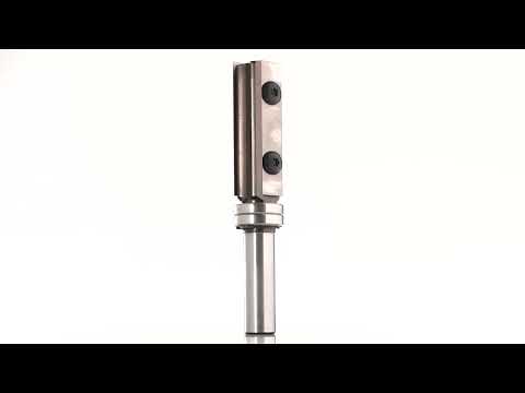 Insert Trimming Cutters with Double Upper Ball Bearing D=19mm B=50mm L=100mm Z=2 S=12mm KLEIN